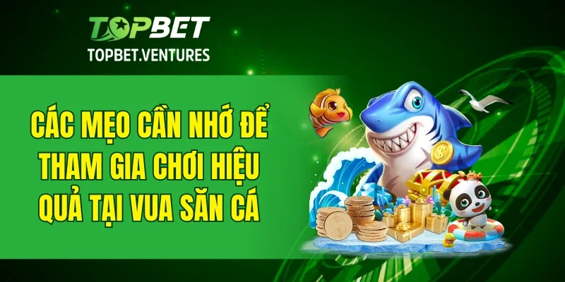 Các mẹo cần nhớ để tham gia chơi hiệu quả tại vua săn cá