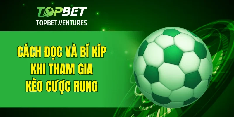 Cách đọc và bí kíp khi tham gia kèo cược rung