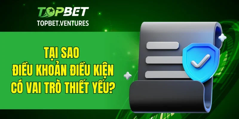 Tại sao điều khoản điều kiện có vai trò thiết yếu?