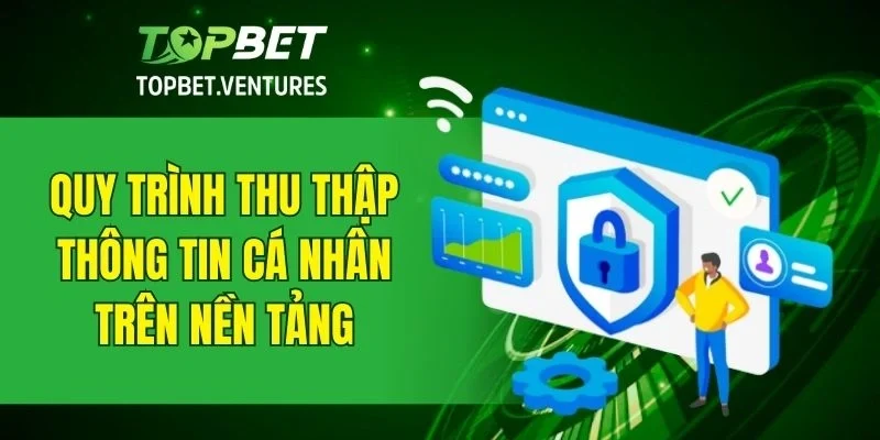 Thương hiệu thu thập dữ liệu người dùng như thế nào?