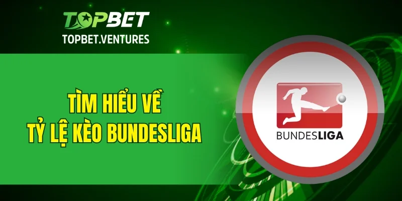 Tìm hiểu về tỷ lệ kèo Bundesliga